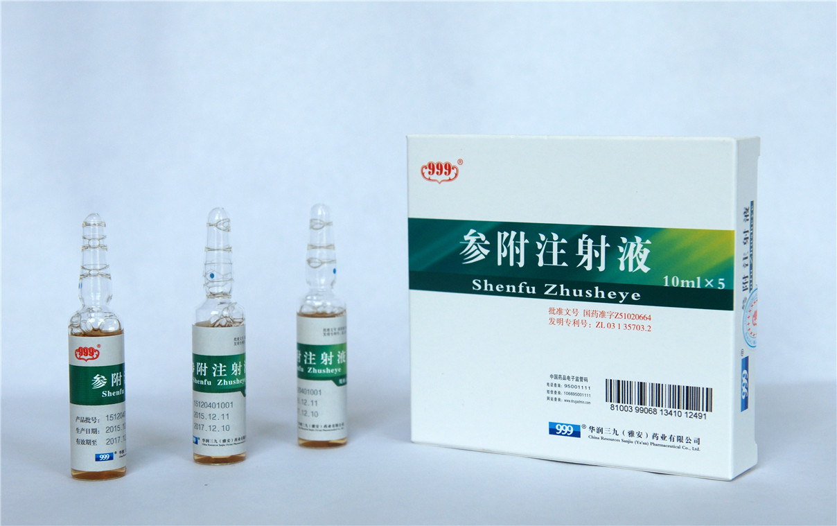 <dt>Ò©Æ·Ãû³Æ</dt><dd>²Î¸½×¢ÉäÒº10ml</dd>